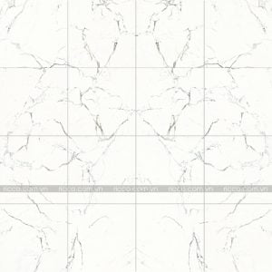 Gạch lát nền Trung Quốc 80x80 TLD08802TPT