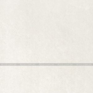 Gạch lát nền Taicera 100x100cm P10702N