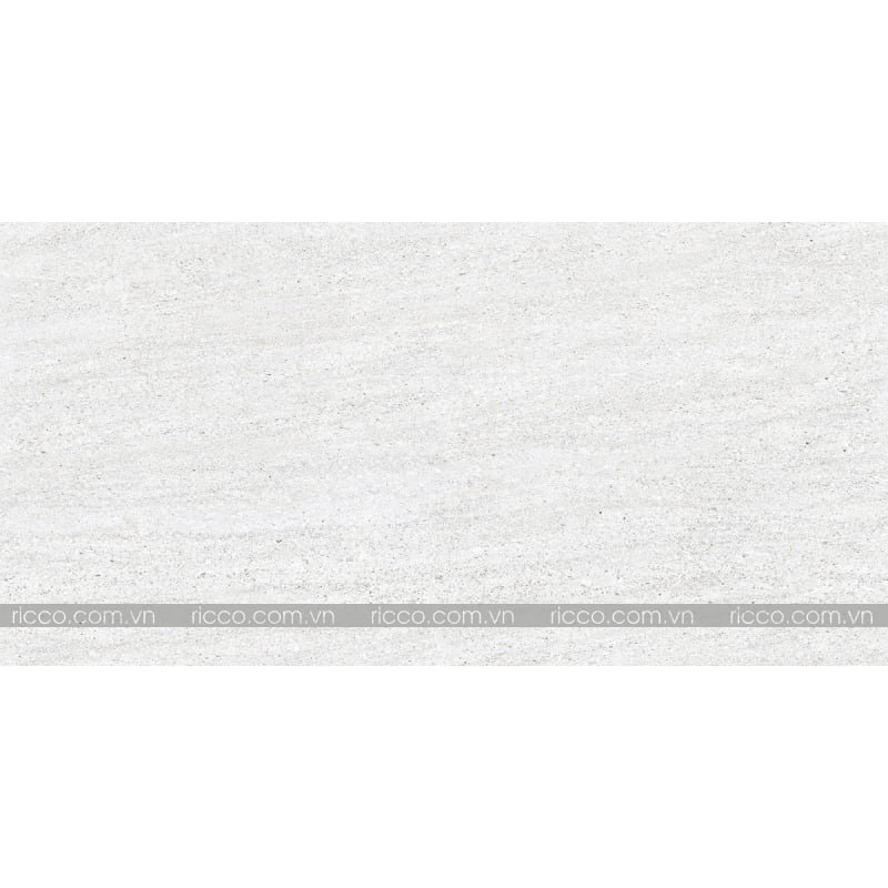 gach-lat-nen-eurotile-60x60-VOC G01-1