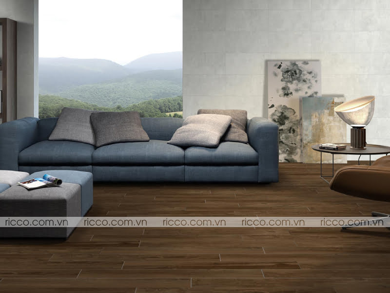 Phối màu gạch lát nền vân gỗ với gạch lát nền vân đá