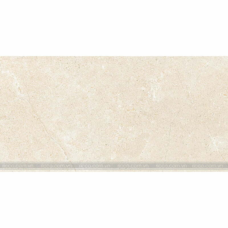 gach-lat-nen-eurotile-nguyet-cat-45x90-NGC I04