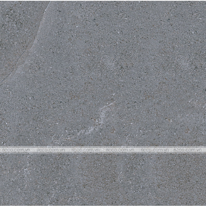 gach-lat-nen-eurotile-nguyet-cat-60x60-NGC H03-3