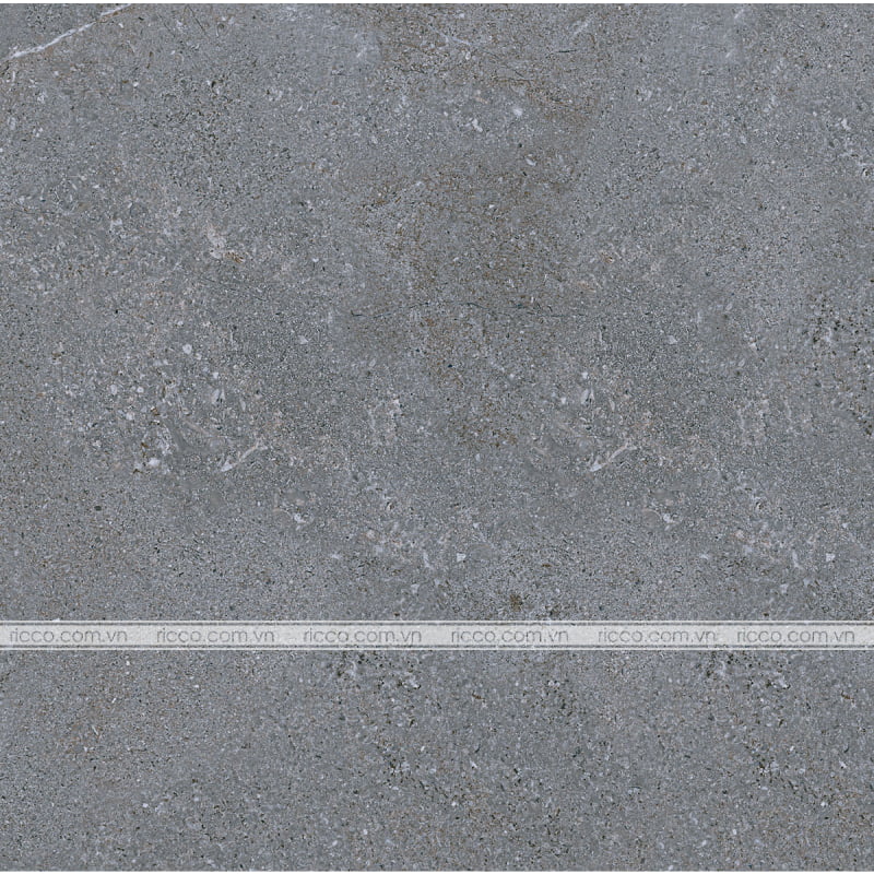 gach-lat-nen-eurotile-nguyet-cat-60x60-NGC H03-4