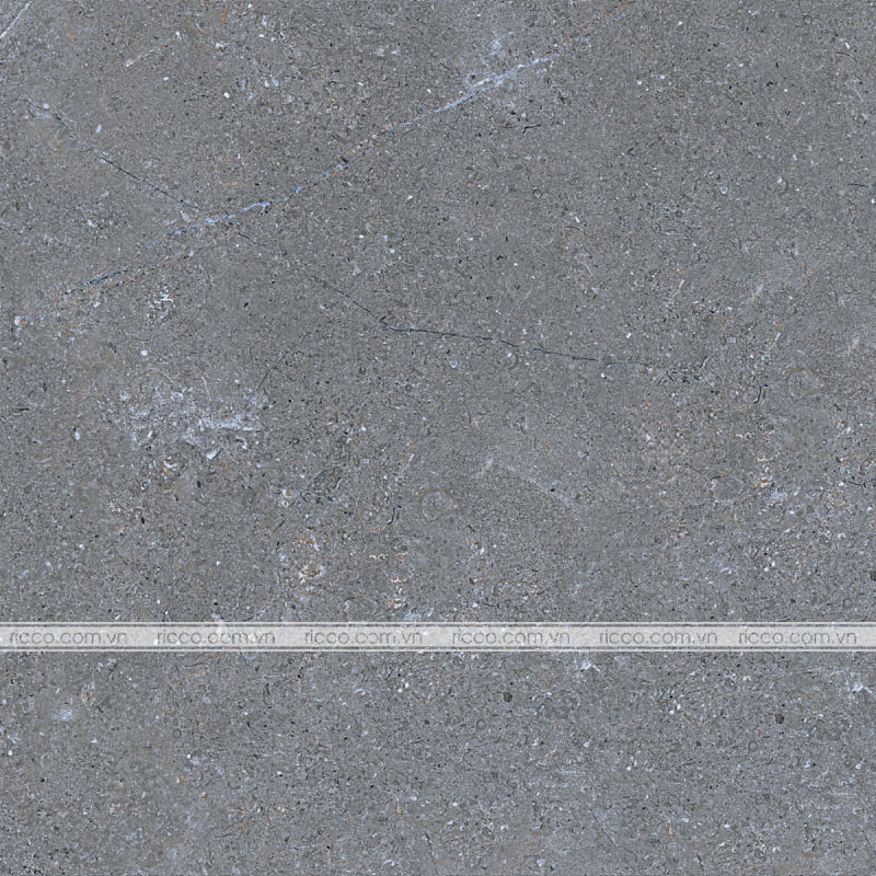 gach-lat-nen-eurotile-nguyet-cat-60x60-NGC H03