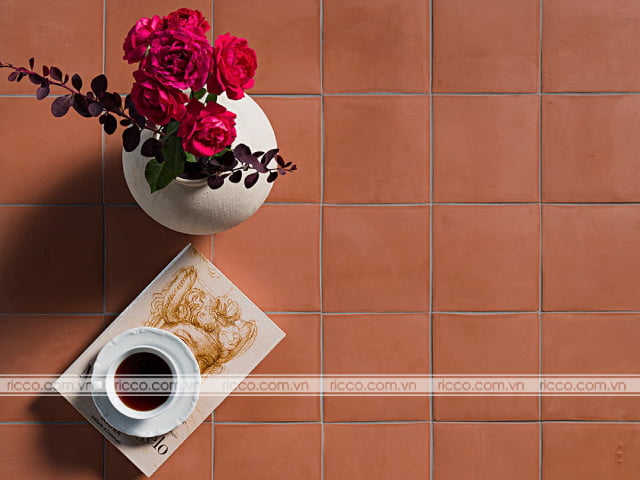 Mẫu gạch đỏ lát sân phổ biến nhất