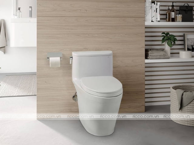 Bồn cầu 1 khối TOTO