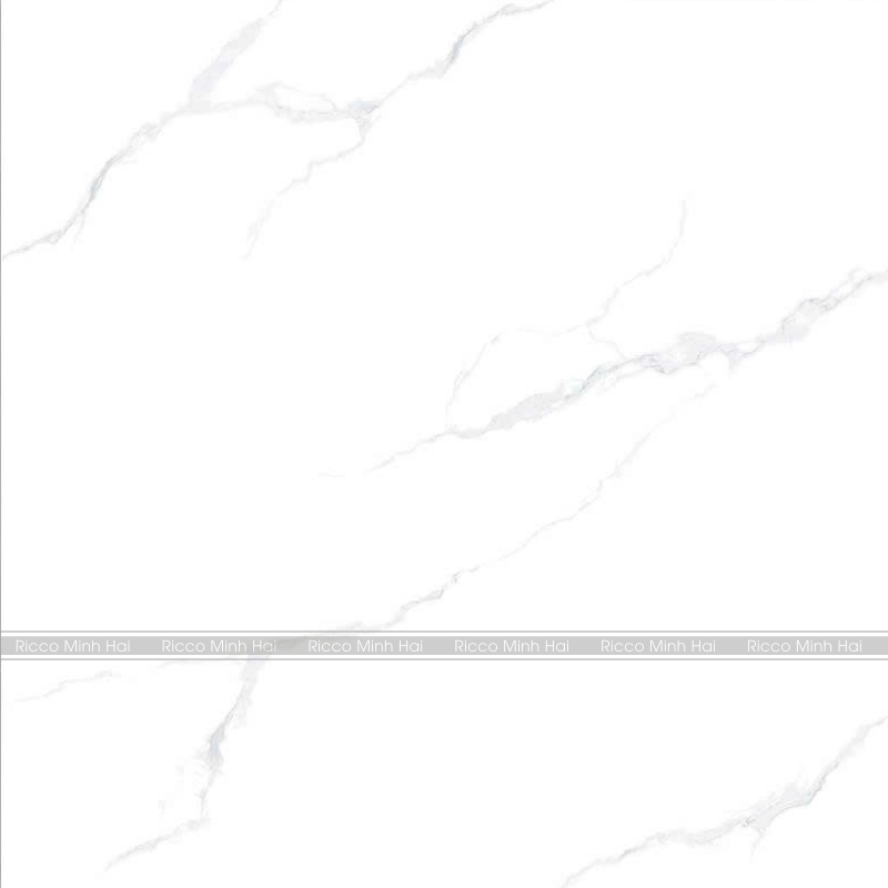Gạch lát nền Takao 100x100cm 21101 - Ricco Minh Hải - Gạch ốp lát ...